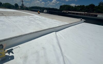 5 Signs Your Commercial Roof Needs Immediate Attention in St. Louis, MO